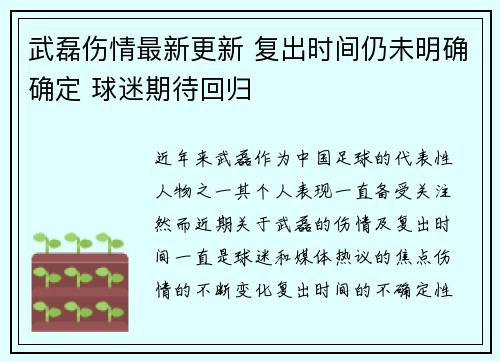 武磊伤情最新更新 复出时间仍未明确确定 球迷期待回归